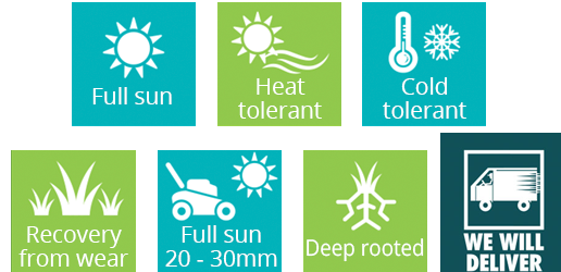 green cover couch lawn features