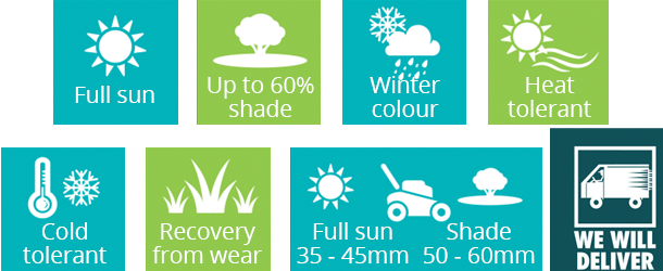 shade plus lawn features