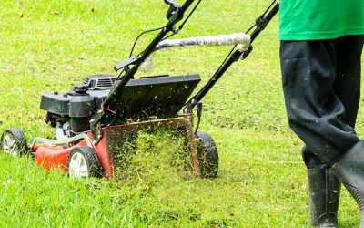 Mowing your lawn