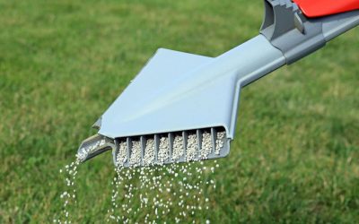 Fertilising your lawn