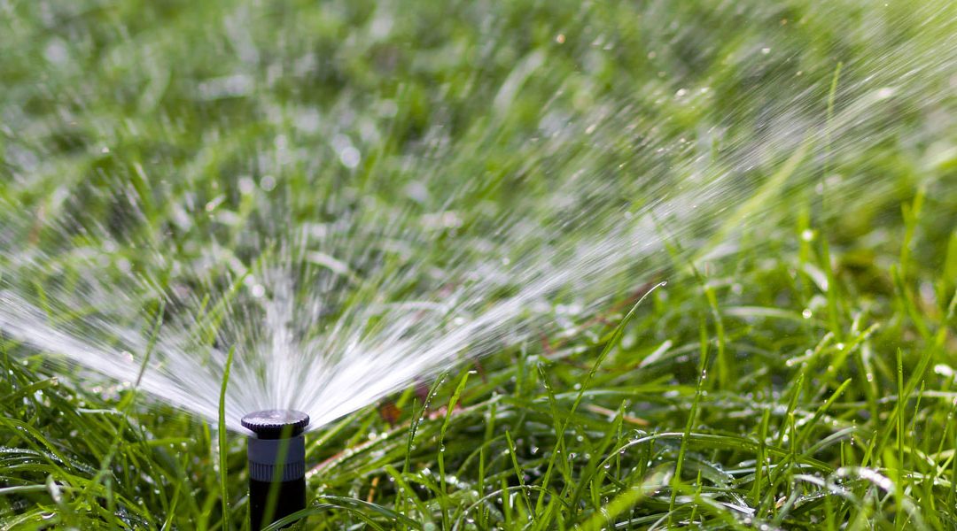 watering your newly laid lawn