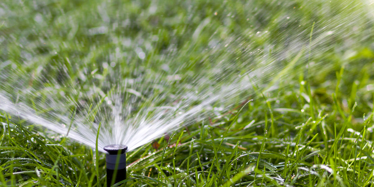 Watering your newly laid turf