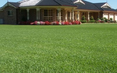 Shade Plus Information