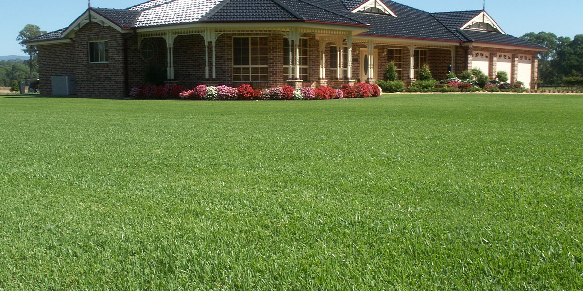 Shade Plus Information